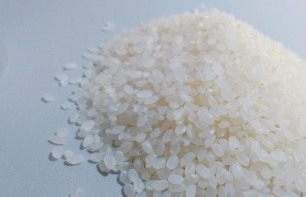 象山：稻谷烘干迎高峰 秋粮归仓有保障