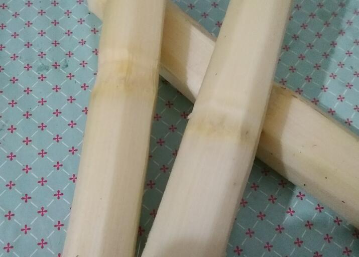 廣東省食品安全學會關于征求《果蔗汁》團體標準意見的通知