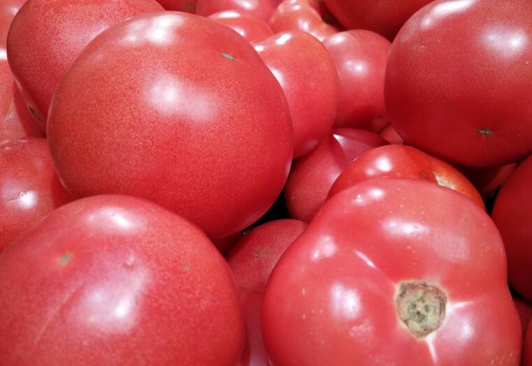 新疆維吾爾自治區(qū)人民政府辦公廳印發(fā)《關(guān)于加快推進(jìn)全區(qū)加工番茄產(chǎn)業(yè)高質(zhì)量發(fā)展的若干政策措施》的通知 (新政辦發(fā)〔2026〕1號(hào))