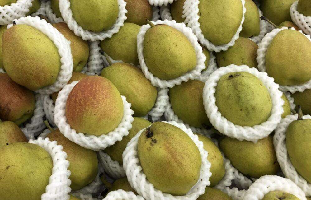 冷鏈為基，賦能生鮮食品產業高質量發展