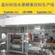 全自動(dòng)水果酵素飲料生產(chǎn)線  廠家定制