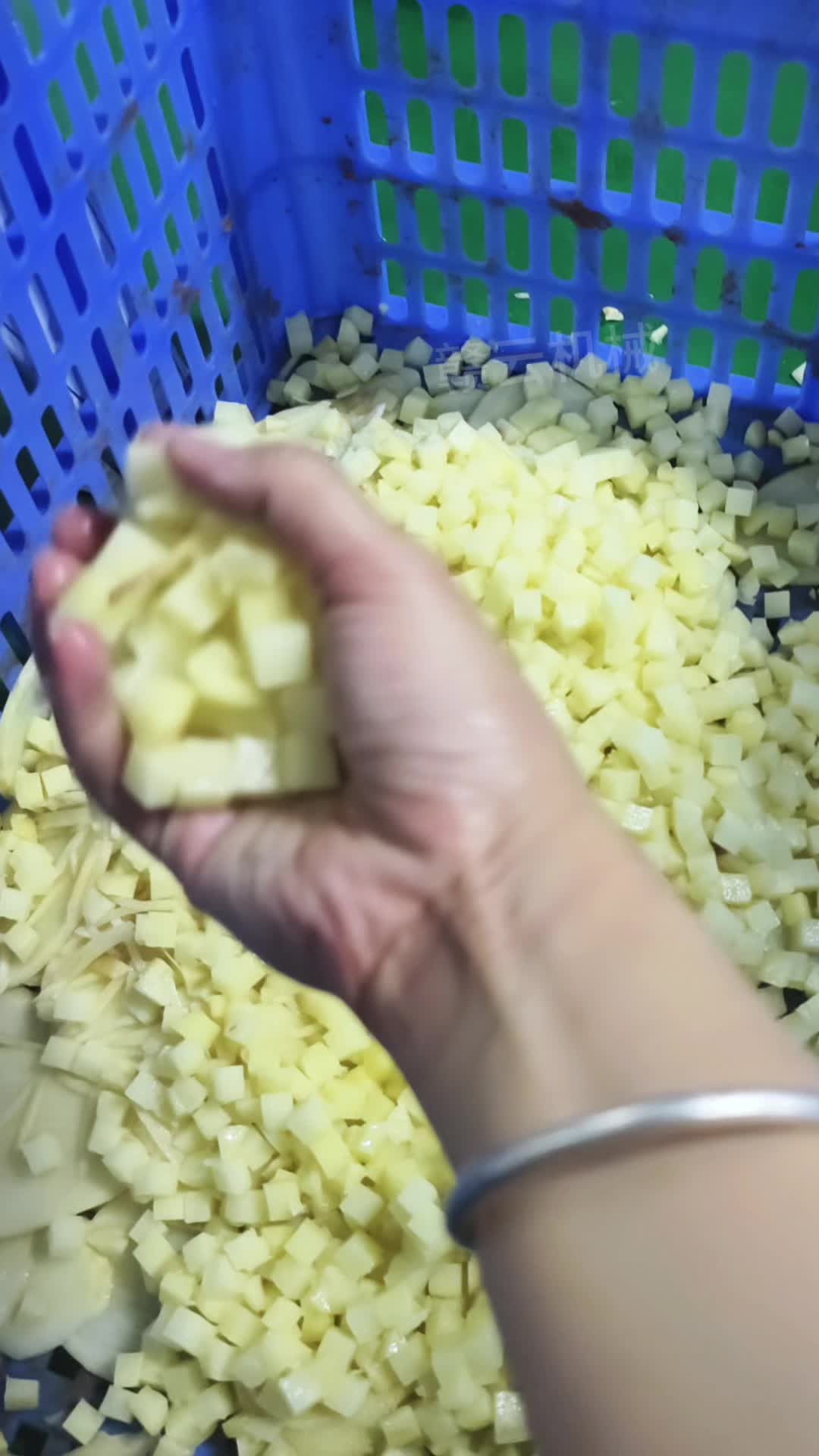 土豆加工去皮切割加工机器设备