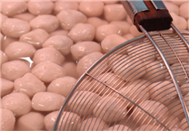 “一种实心鱼丸成型机”发明公布