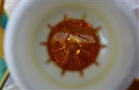 赣州市蓉江新区分局开展食用植物油突出问题排查整治