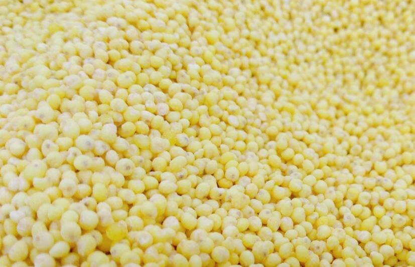 世界粮食日｜粮食仓储设备：守住丰收之后的 “储藏保险箱”