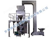 全自動(dòng)顆粒包裝機(jī)