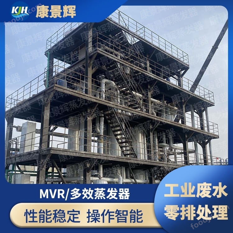 湖北康景輝 多效蒸發(fā)結(jié)晶器 強(qiáng)制循環(huán)結(jié)晶