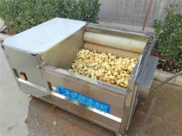 電動不銹鋼毛輥式土豆清洗機(jī)紅薯清洗設(shè)備 蔬菜清洗機(jī) 土豆清洗機(jī)