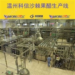 整套沙棘果醋制作設(shè)備 可定制