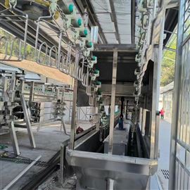 1000家禽屠宰生产线 杀鸡流水线